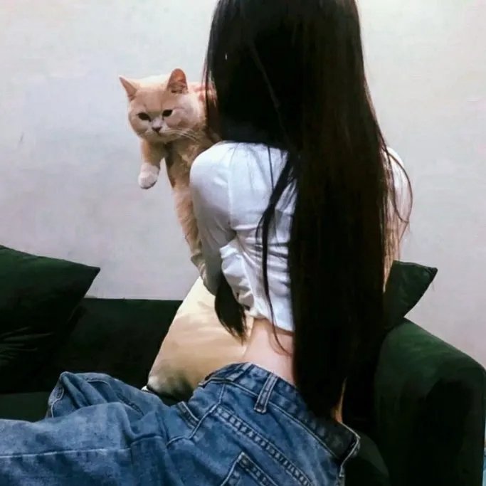 123，太阳